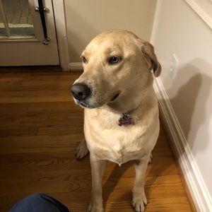 Meet your Posher, Robert